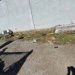 c4f0e8420df44484a3a6a7d51d65423f